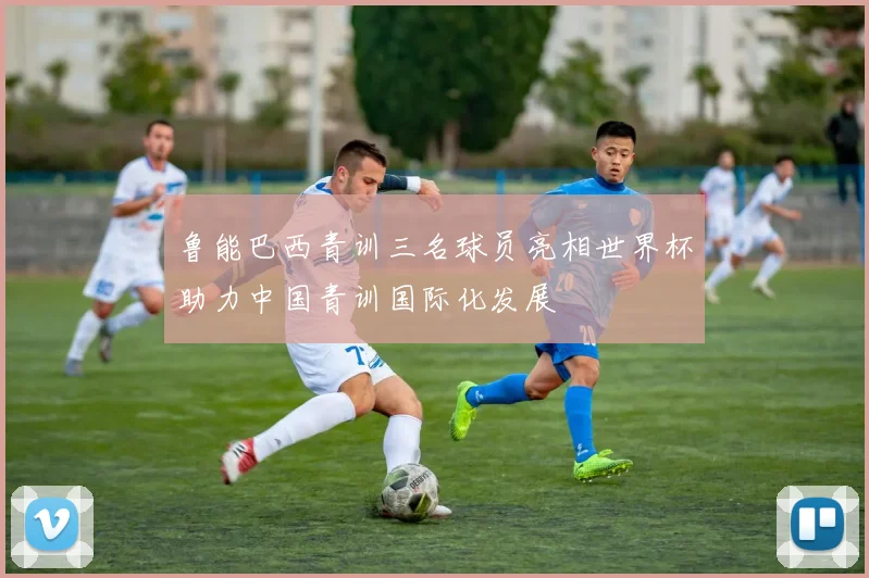 鲁能巴西青训三名球员亮相世界杯助力中国青训国际化发展