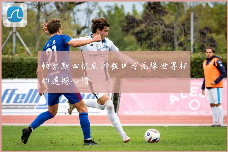 帕尔默回忆瓜帅教训与无缘世界杯的遗憾心情