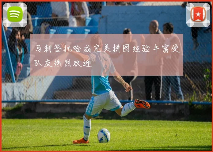 马刺签托哈成完美拼图经验丰富受队友热烈欢迎